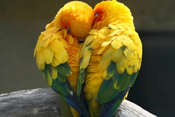 shutterstock 165710645