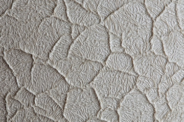 shutterstock 370859708