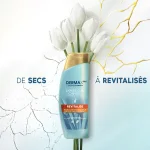 Infographic: DERMA Xᴾᴿᴼ Revitaliser Anti-dandruff Shampoo - FROM DRY TO REVITALISED