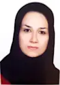 Headshot photo of Maryam Meshksar