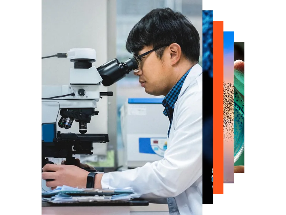 Female scientist wearing safety goggles and gloves analysing medical test samples on a microscope in a lab