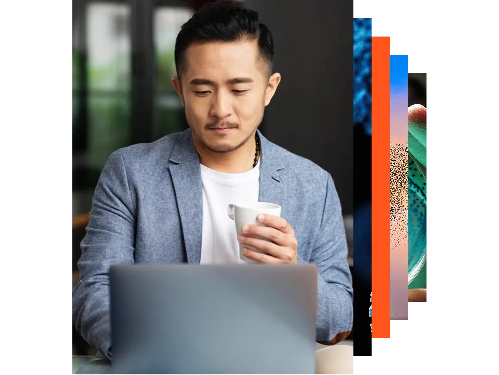 Business person preparing for business meeting