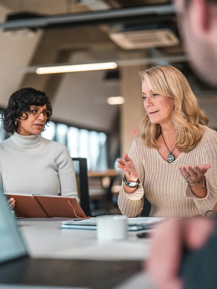 People in a meeting