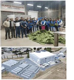 Hybrid Solar Dryers for Resilient Food Systems