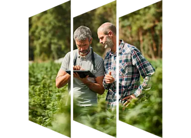 Two scientists working in nature