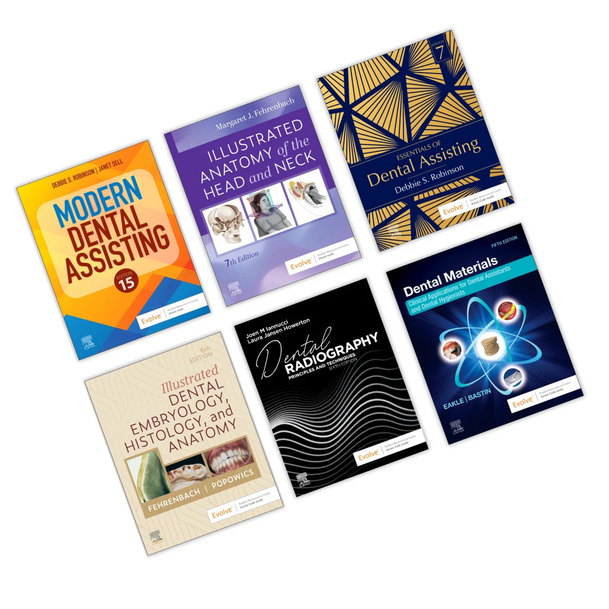 Mixed race young woman doing homework on her laptop