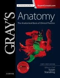 Sample cover of Gray's Anatomy : The Anatomical Basis of Clinical Practice
