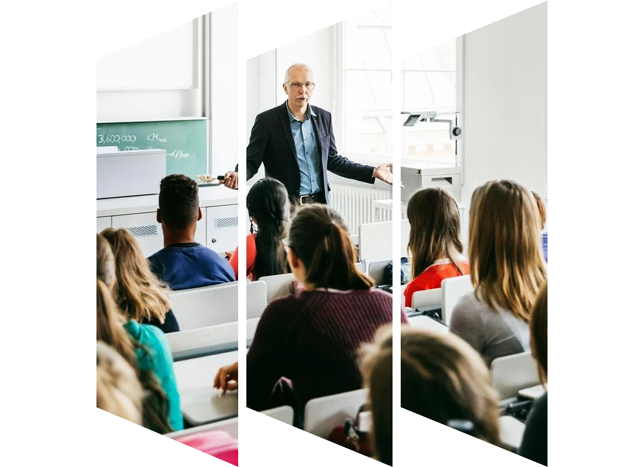 University professor addressing his pupils during a lecture