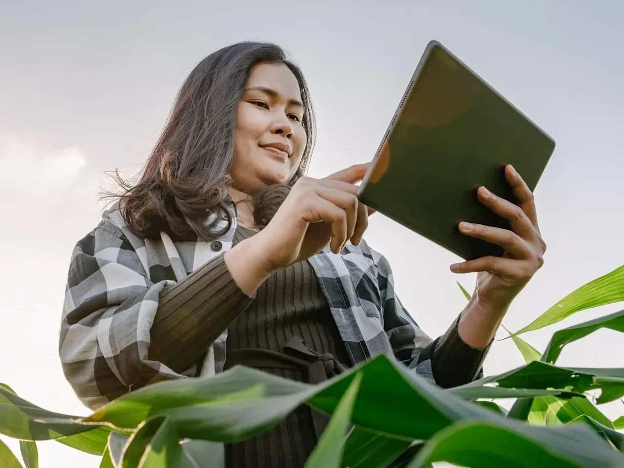 Woman in a field