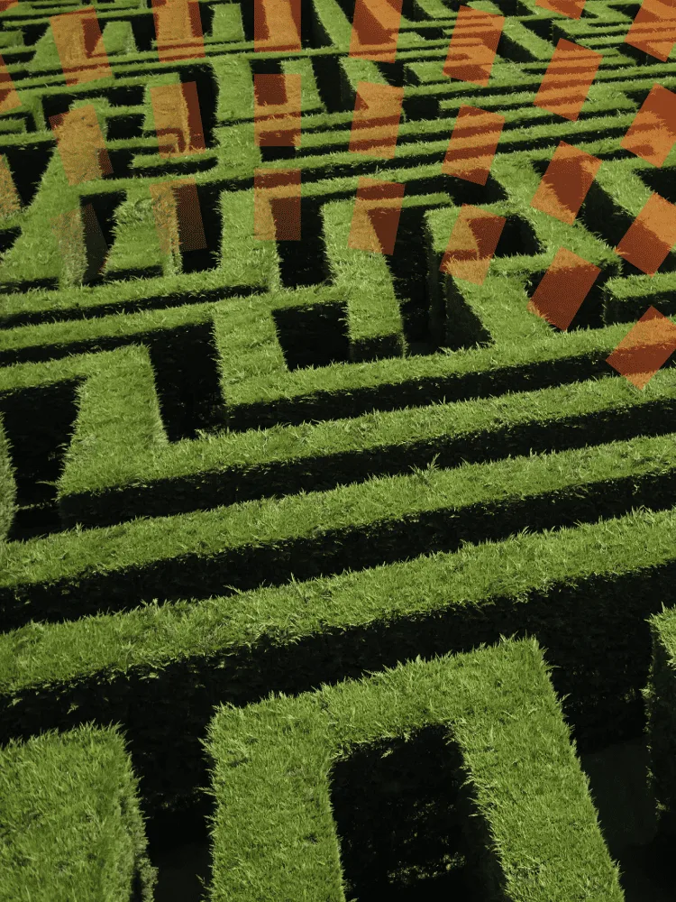 hedge maze