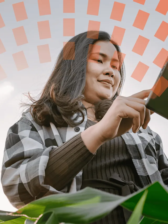 Young woman in cornfield interacting with tablet.