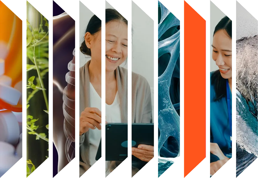 Colourful accordion of various health images