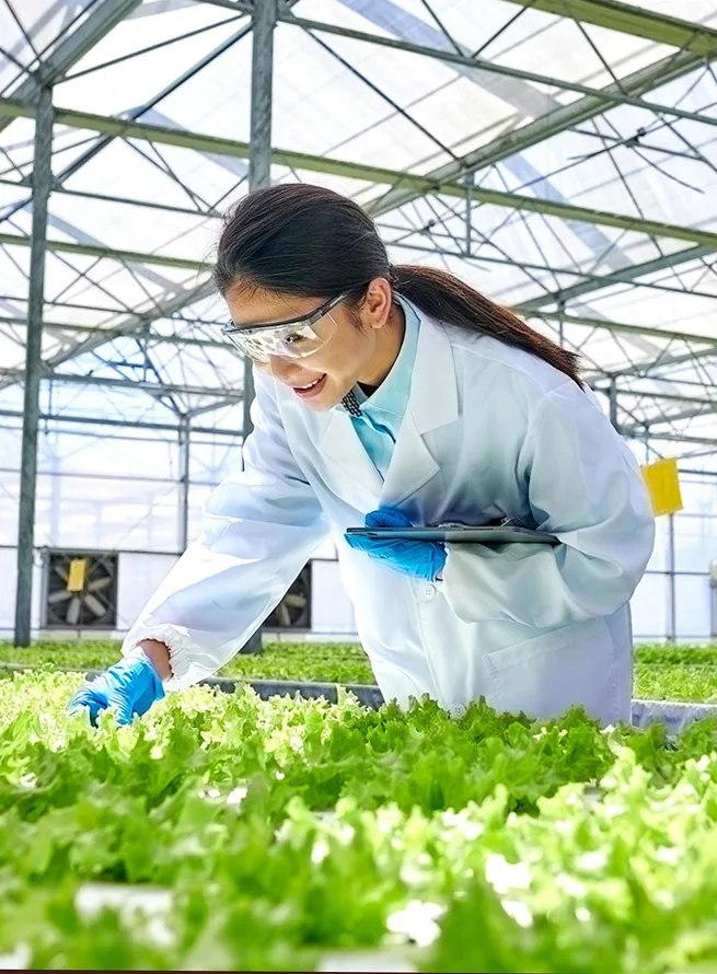 We embed inclusion and sustainability into every product and process.