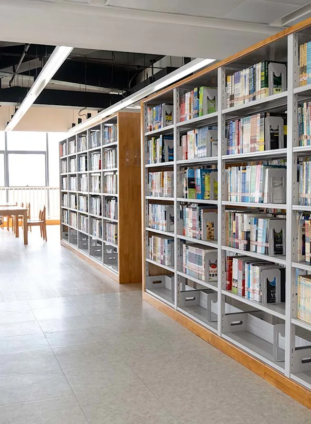 Library shelves with books