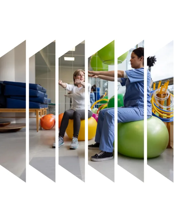 Physical Therapy Catalog