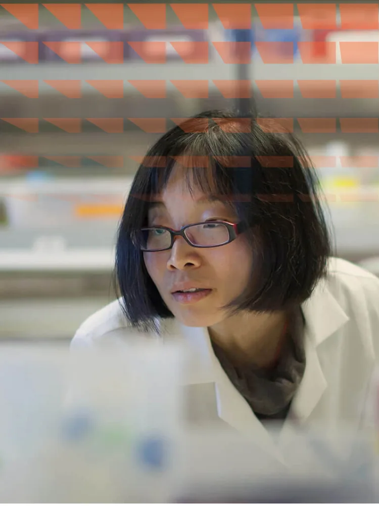 Female Asian Scientist Concentrating at a Biomedical Laboratory