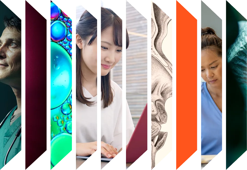 Colourful accordion of various health images