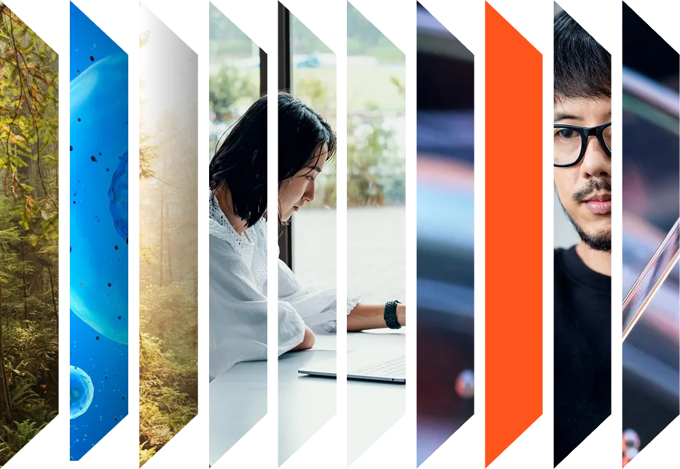 Colorful accordion of STEM related images