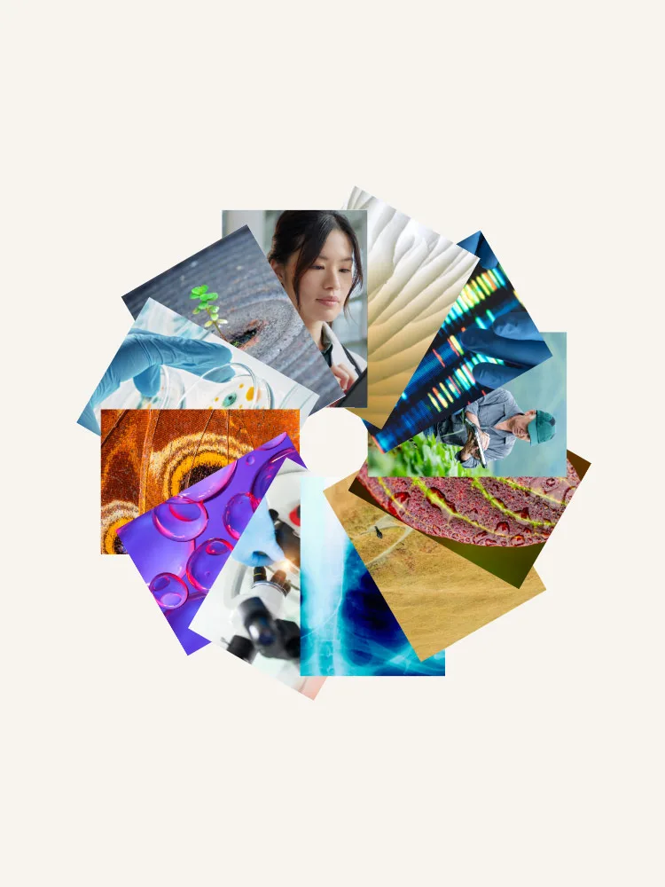 AI in R&D workflows webinar mobile banner