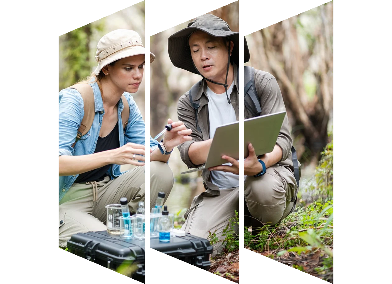 Two scientists working in nature