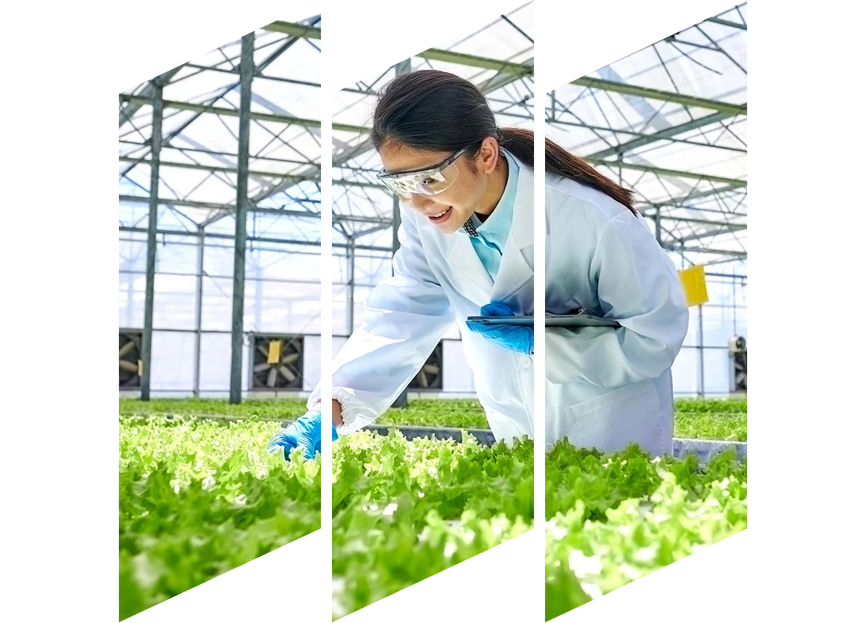 woman on farm with clipboard