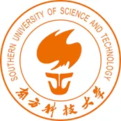 Co-organizer