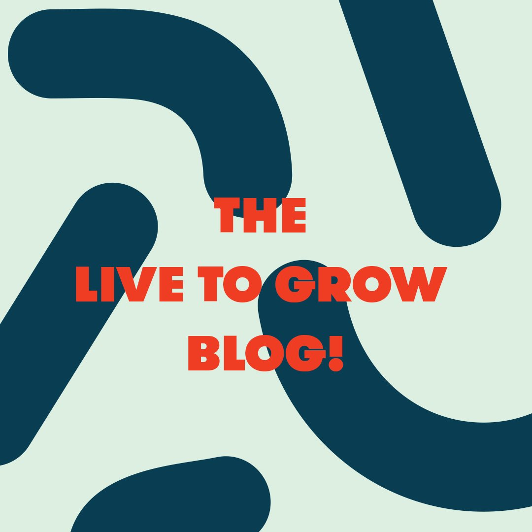 LtG-instagram blog