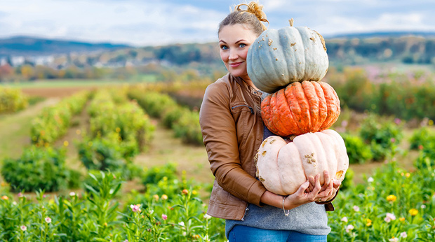 ‘Tis The Season To Buy An Ugly Pumpkin