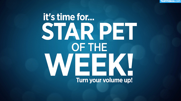 Star Pet Of The Week – August 8, 2018