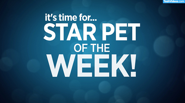 Star Pet Of The Week – October 5, 2018