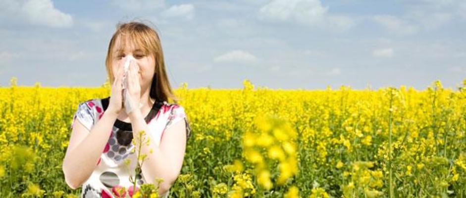 Treat Your Allergies The Natural Way! Treat Your Allergies The Natural Way!