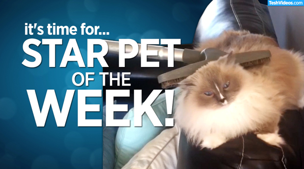 Star Pet Of The Week – April 19, 2019