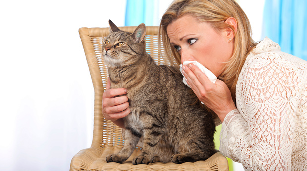 Intelligence For Your Life Cat Allergies A New Vaccine