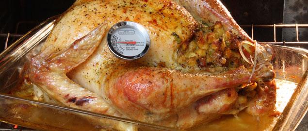 Top Chef Secrets To Roast The Perfect Turkey