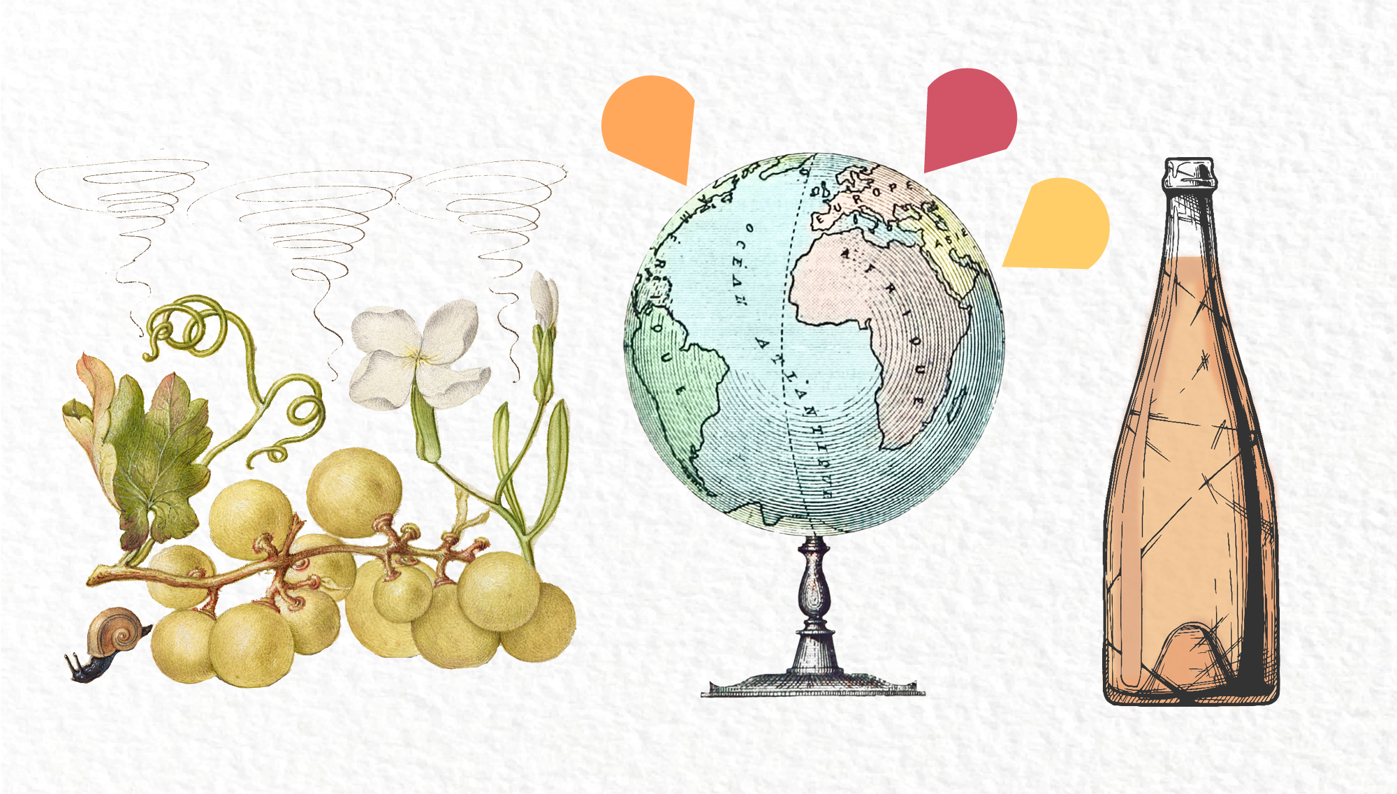 Our Favorite Natural Wine Bars Prior
