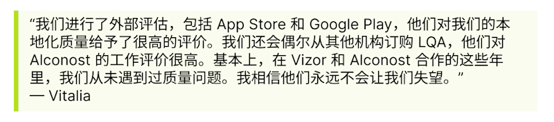 mtpe vizor-17