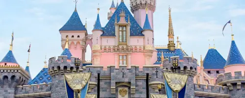 D100 Disneyland - Vertical