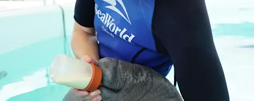 SeaWorld Orlando logo.svg