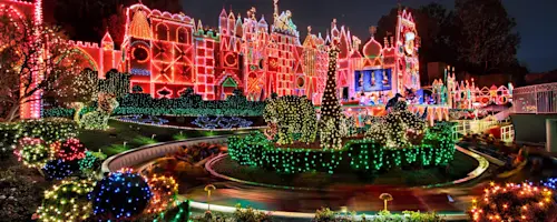D100 Disneyland - Vertical