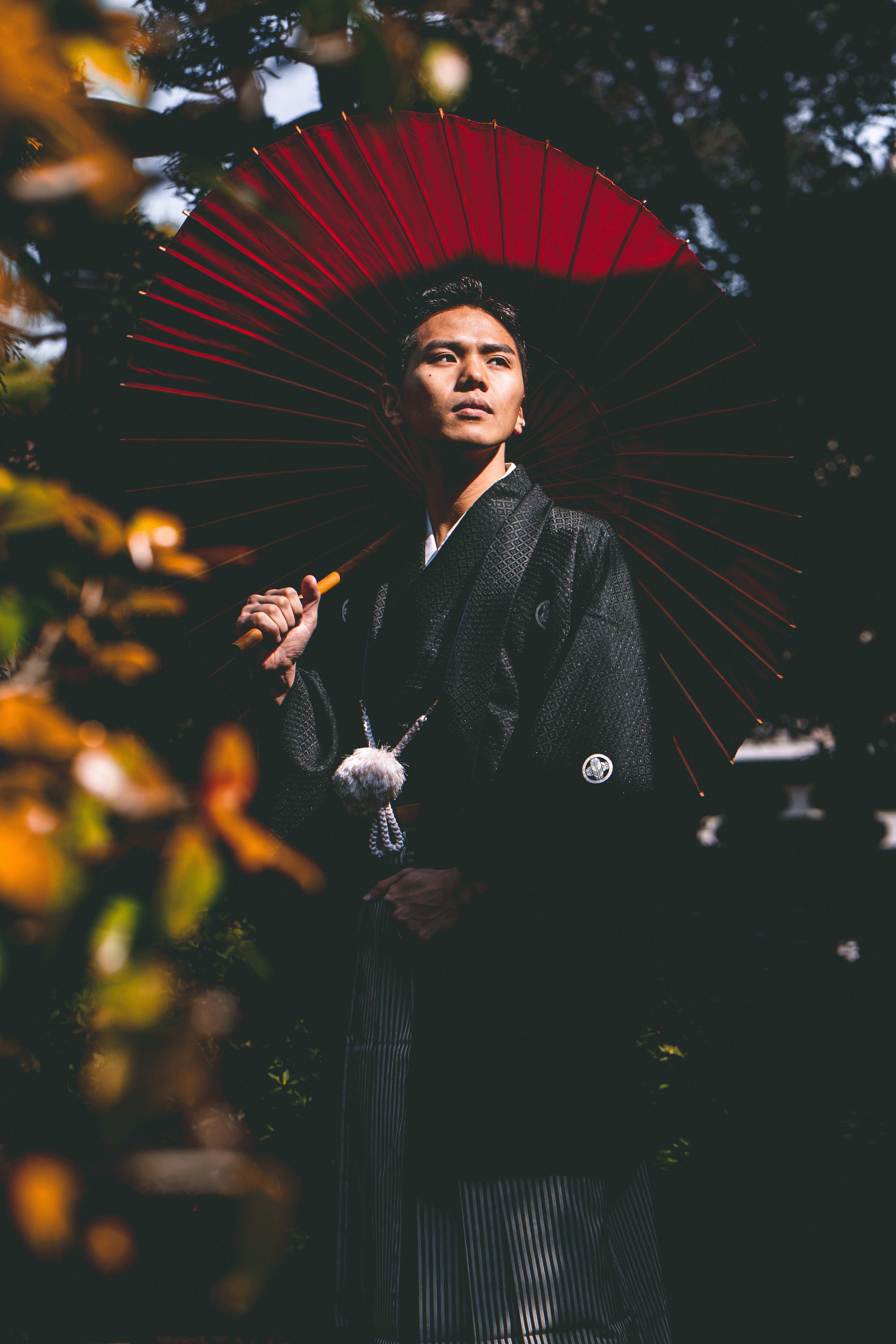 Kimono portrait