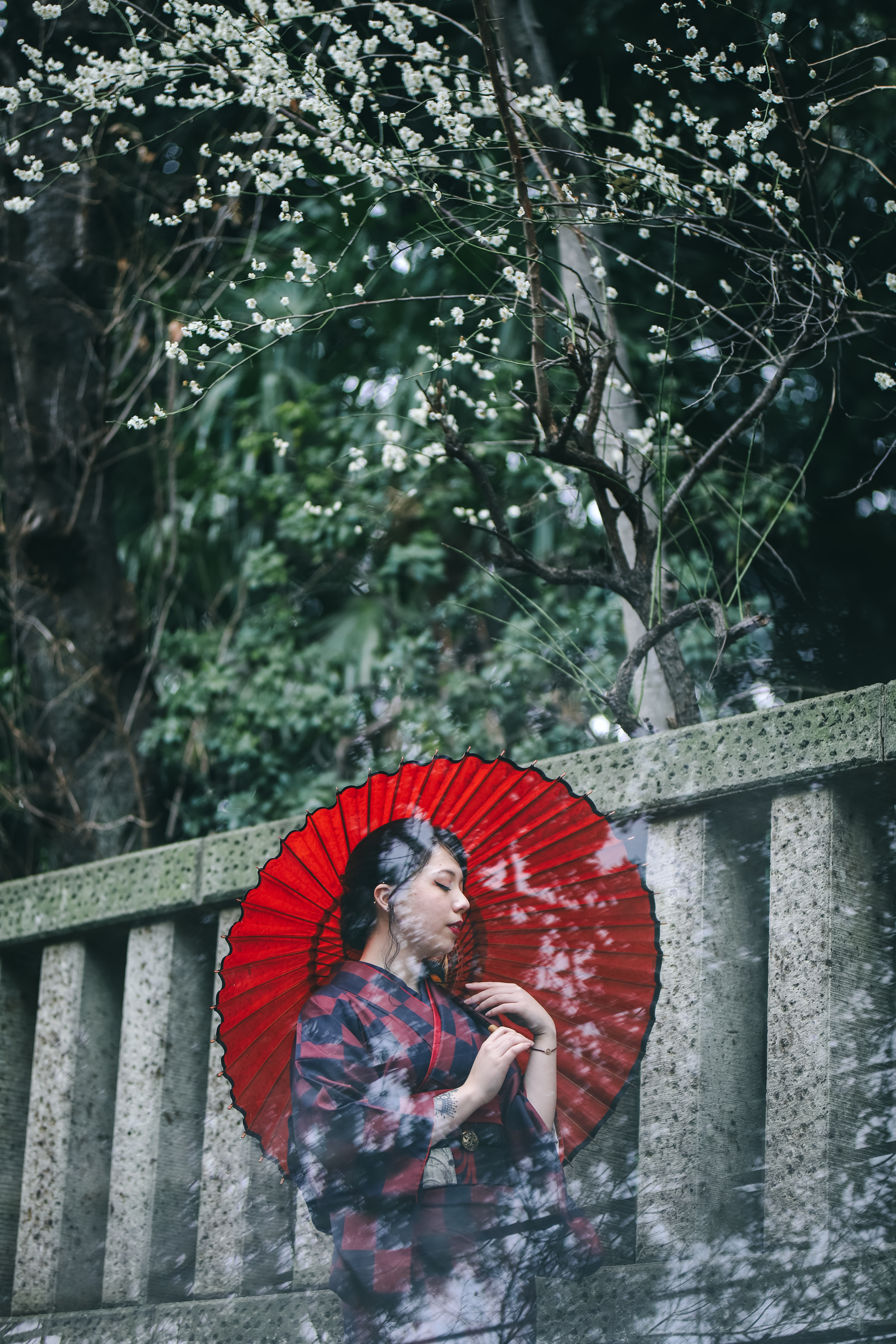 Kimono portrait