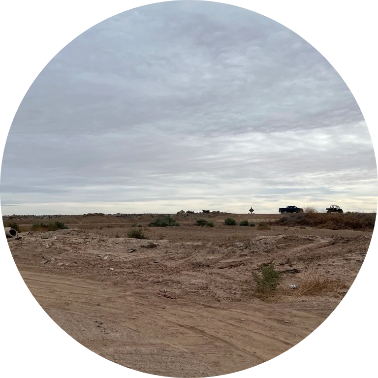 : A wide desert field with a scattering of dry bushes