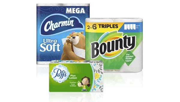 Product lineup for P&G’s Family Care category, part of the Baby, Feminine and Family Care sector