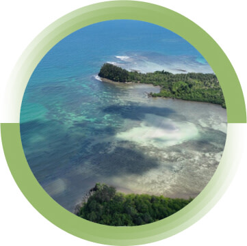 A body of water off of the coast of a piece of land with greenery.