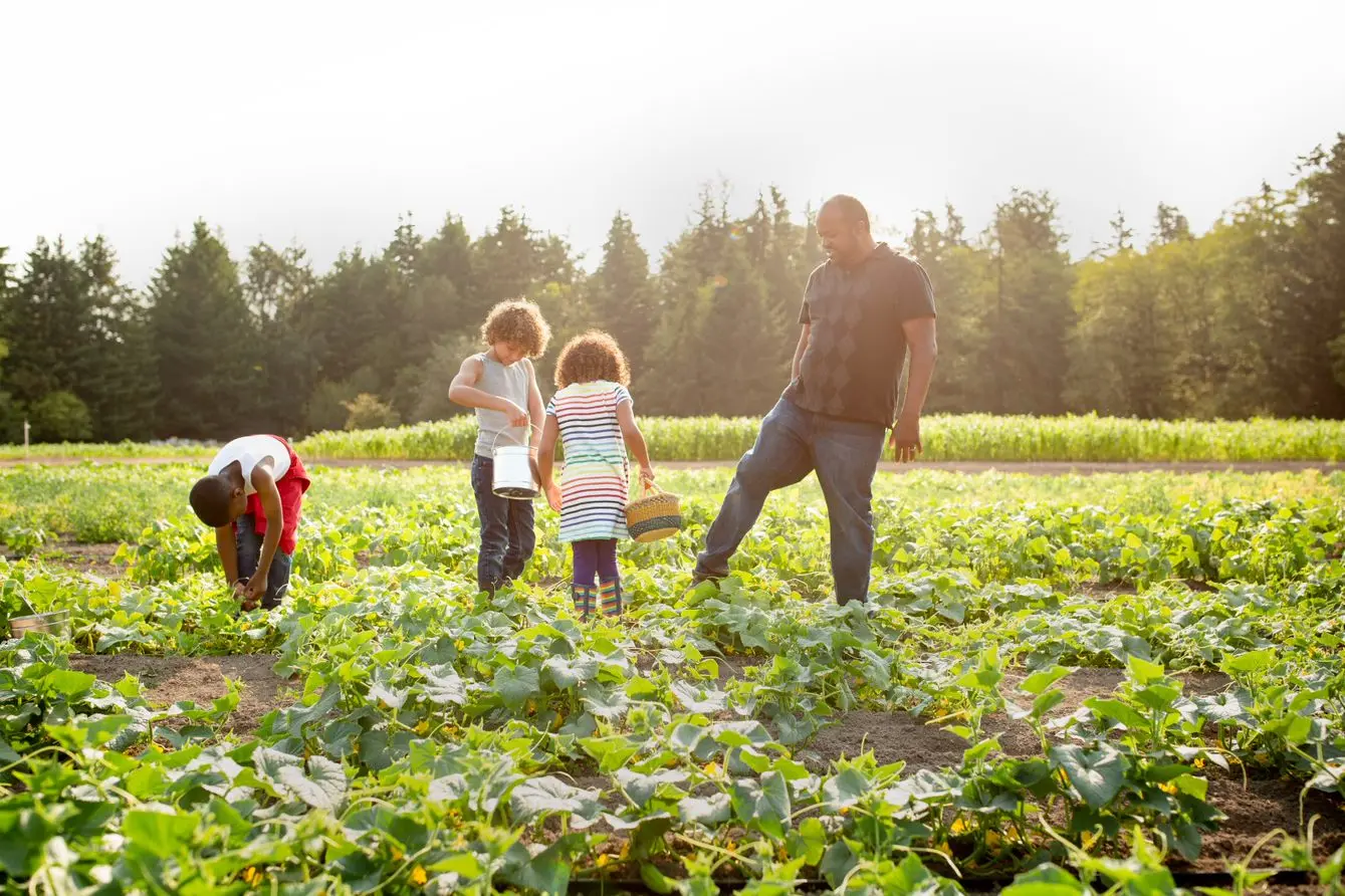 Family practicing sustainable gardening