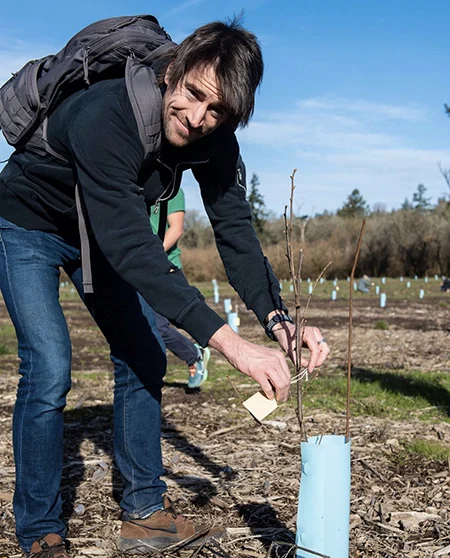 A young man with dark hair, blue jeans, black sweater and a black backpack, hovers over a recently planted tree sapling as he adds a paper tag to it.