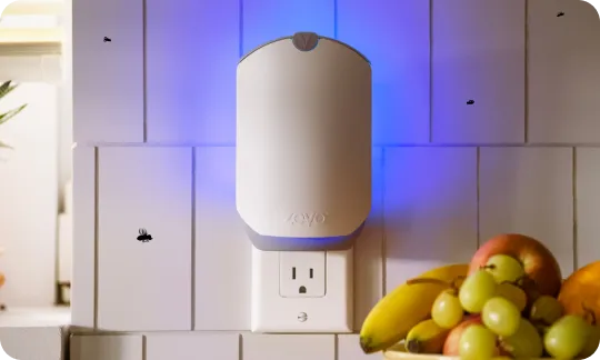 A white rectangular bug light emits blue light while plugged into a wall socket. A bowl of fruit sits next to it.