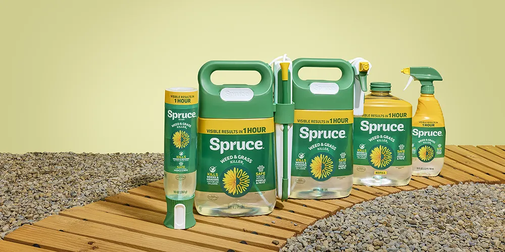 Five yellow and green bottles of various sizes are lined up on a pathway made of wood slabs.