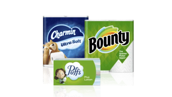 Product lineup for P&G’s Family Care category, part of the Baby, Feminine and Family Care sector
