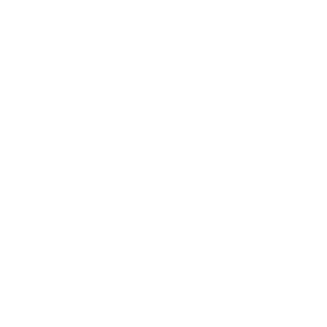 Gauge